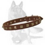 Handcrafted Leather Dog Collar With Brass Studs