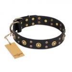 'Cosmic Glow' FDT Artisan Black Leather German Shepherd Collar with Brass- Plated Studs - 1 1/2 inch (40 mm) wide