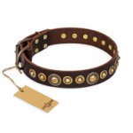 'Ancient Warrior' German Shepherd Brown Leather Dog Collar