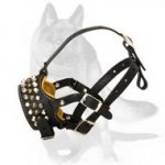 'Captain Infinix' - Padded Leather Dog Muzzle with Handset Studs