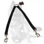 Nylon 2-Way Couplers Leash for 2 German Shepherd