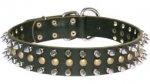 German Shepherd Leather Collar with Shiny Brass Studs and Nickel Spikes