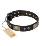'Jewel Passion' FDT Artisan Fashionable Black Leather German Shepherd Dog Collar