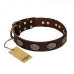 'Chocolate kiss' FDT Artisan Leather German Shepherd Collar with Old Bronze Look Oval Plates