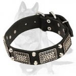 Posh and Rich Leather Collar with Plates and Pyramids for German Shepherd