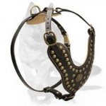 Exclusive Design Studded Leather Harness for German Shepherd