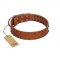 "Star Light" Stylish FDT Artisan Tan Leather German Shepherd Collar with Silver-Like Studs