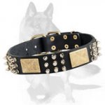 Spiked, Studded Dog Collar 1 1/2 inch (40 mm) wide for German Shepherd