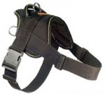 Looking for EzyDog Harness for German Shepherd