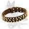 Spiked and Studded Dog Collar for powerful German Shepherd