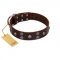 "Skull Valley" Handcrafted FDT Artisan Brown Leather German Shepherd Collar with Skulls