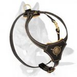 ‘Pup Culture’ Royal Leather Tracking/Walking Dog Harness