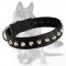 Studded Dog Collar 1 1/2 inch (40 mm) wide for German Shepherd