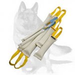 German Shepherd Fire Hose Bite Tugs -Training Set