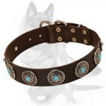 Western Leather Dog Collar w/h turquoise stones for Shepherd