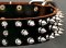 Protector Full Spiked Latigo Dog Collar for German Shepherd
