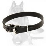 Leather Buckled Dog Collar for German Shepherd