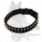 Black Nylon Dog Collar with 2 rows of Shiny Spikes