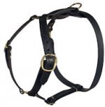 Similar Lupine adjustable dog harness for German Shepherd