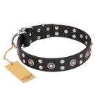 'Refined Essence' FDT Artisan Black Leather German Shepherd Dog Collar with Silvery Studs - 1 1/2 inch (40 mm) Wide