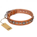 'Daily Chic' FDT Artisan Tan Leather German Shepherd Collar with Decorations