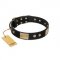 "Antique Gloss" FDT Artisan Black Leather German Shepherd Collar with Bronze-like Plates and Small Studs