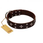 "Trendy Candy" FDT Artisan Brown Leather German Shepherd Collar Adorned with Stars and Tiny Squares