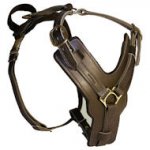 GERMAN SHEPHERD Padded Dog Harness H10