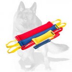 German Shepherd Adult Training Set