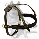 ‘Egyptian Magic’ Tracking/Pulling Leather Dog Harness for German Shepherd