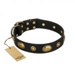 "Eye-Catcher" FDT Artisan Black Leather German Shepherd Collar for Walking in Style
