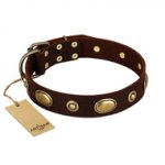 "Hebe's Jewel" FDT Artisan Brown Genuine Leather German Shepherd Collar