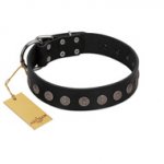 "Silent Star" Handmade FDT Artisan Designer Black Leather German Shepherd Collar with Engraved Plates