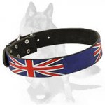 German Shepherd Leather Collar - Great Britain Style