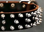 Protector Full Spiked Latigo Dog Collar for German Shepherd