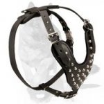 German Shepherd Dog Decorated Leather Harness