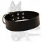 Gorgeous Wide Leather Dog Collar for German Shepherd