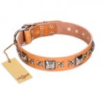 'Silver Chic' FDT Artisan Tan Leather German Shepherd Collar with Silvery-plated Decorations