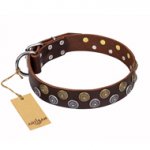 'Strong Shields' FDT Artisan Leather German Shepherd Collar with Bronze and Chrome Plated Decorations