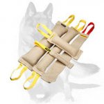 German Shepherd Adult Dog Training Set