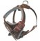 K9 Pro Leather Dog Harness for German Shepher