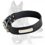 Leather Dog Collar with Metal Nameplate for easy identification