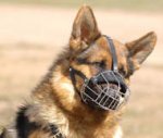 Wire Basket Dog Muzzles for German Shepherd