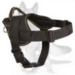 ‘Adventure Prime’ Adjustable Nylon Dog Harness for German Shepherd
