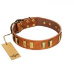"Olive Slice" FDT Artisan Tan Leather German Shepherd Collar with Engraved and Smooth Plates