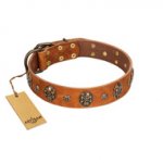 "Rockstar" FDT Artisan Tan Leather German Shepherd Collar with Engraved Studs and Medallions