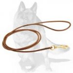 Thin Classic Leather Leash with Brass Hardware for Dog Show