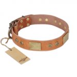 'The Middle Ages' FDT Artisan Handcrafted Tan Leather German Shepherd Dog Collar