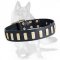 K9 dog training collar-Gorgeous Wide Leather Dog Collar with Plates