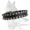 German Shepherd Leather Collar with Shiny Nickel Plates